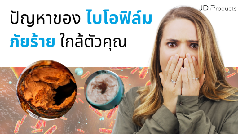 ไบโอฟิล์ม ภัยร้ายใกล้ตัว
