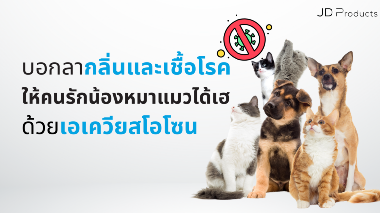 บอกลากลิ่น และเชื้อโรคเด็ดขาด  